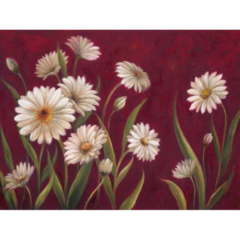 Harmony Daisies  Gold Ornate Wood Framed Art Print with Double Matting by Art Atelier Alliance