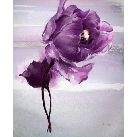 Exquisite Tulip Black Modern Wood Framed Art Print with Double Matting by Art Atelier Alliance