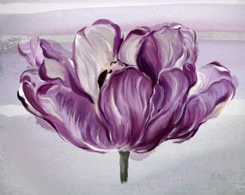 Awash In Plum Tulip White Modern Wood Framed Art Print with Double Matting by Art Atelier Alliance