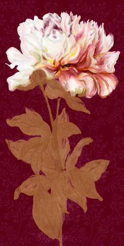 Blushing Peony Spice 1 White Modern Wood Framed Art Print with Double Matting by Art Atelier Alliance