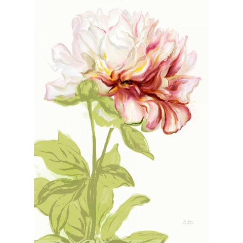 Blushing Peony 1 White Modern Wood Framed Art Print by Art Atelier Alliance