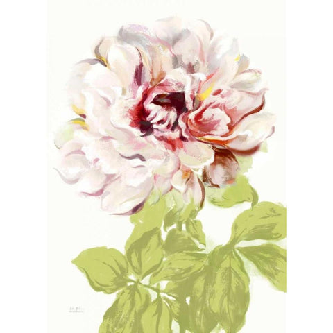 Blushing Peony 2 Gold Ornate Wood Framed Art Print with Double Matting by Art Atelier Alliance
