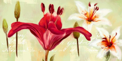 Bursting Lilies Garden 1 Black Ornate Wood Framed Art Print with Double Matting by Art Atelier Alliance