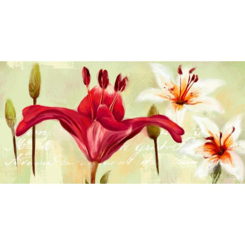 Bursting Lilies Garden 1 Black Modern Wood Framed Art Print by Art Atelier Alliance