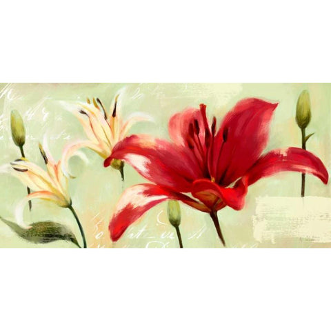 Bursting Lilies Garden 2 Black Modern Wood Framed Art Print by Art Atelier Alliance