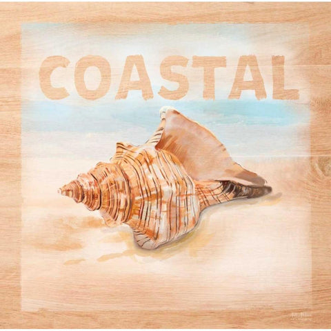Natural Ocean Coastal Black Modern Wood Framed Art Print with Double Matting by Art Atelier Alliance
