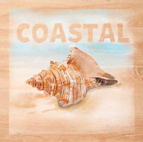 Natural Ocean Coastal White Modern Wood Framed Art Print with Double Matting by Art Atelier Alliance