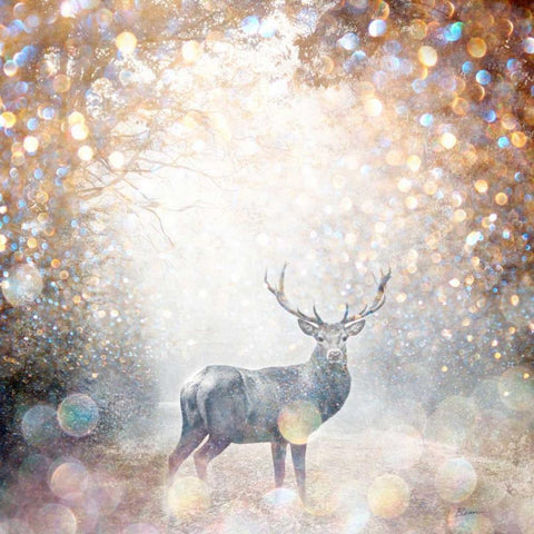 Mystical Forest 1 Black Modern Wood Framed Art Print with Double Matting by Jakobs, Beau