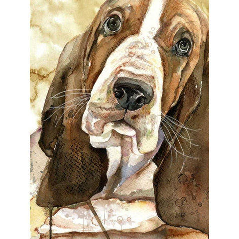 Sweet Basset Hound Black Modern Wood Framed Art Print with Double Matting by Jing, Jin