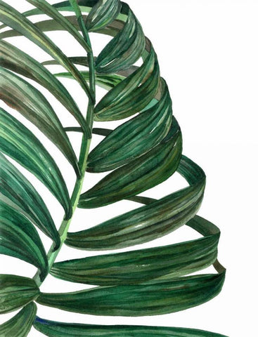 Tropical Breeze Palm 1 White Modern Wood Framed Art Print with Double Matting by Jing, Jin