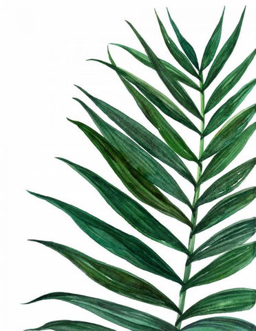 Tropical Breeze Palm 2 Black Ornate Wood Framed Art Print with Double Matting by Jing, Jin