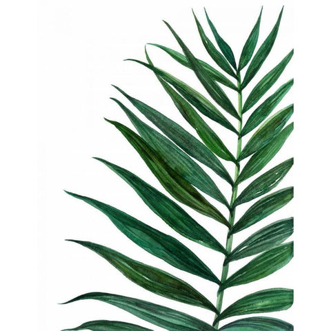 Tropical Breeze Palm 2 Gold Ornate Wood Framed Art Print with Double Matting by Jing, Jin