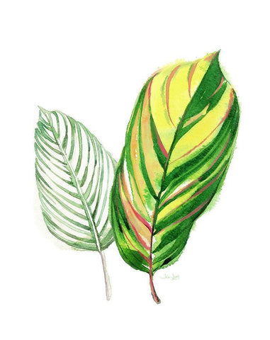 Tropical Striped Leaf Black Ornate Wood Framed Art Print with Double Matting by Jing, Jin