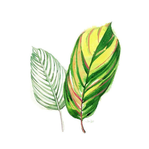 Tropical Striped Leaf White Modern Wood Framed Art Print by Jing, Jin