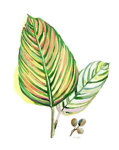 Tropical Foliage White Modern Wood Framed Art Print with Double Matting by Jing, Jin