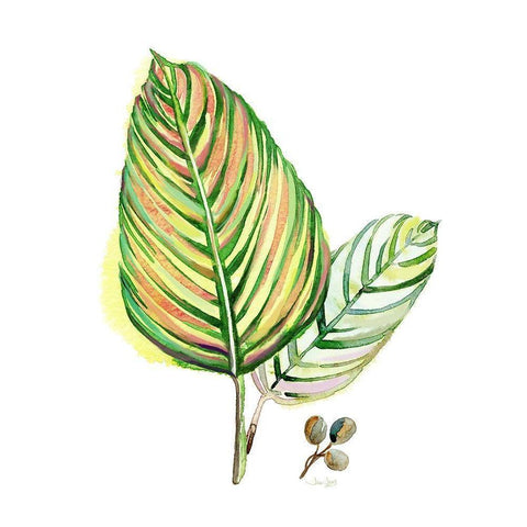 Tropical Foliage Black Modern Wood Framed Art Print by Jing, Jin