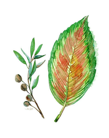 Tropical Botanical Black Ornate Wood Framed Art Print with Double Matting by Jing, Jin