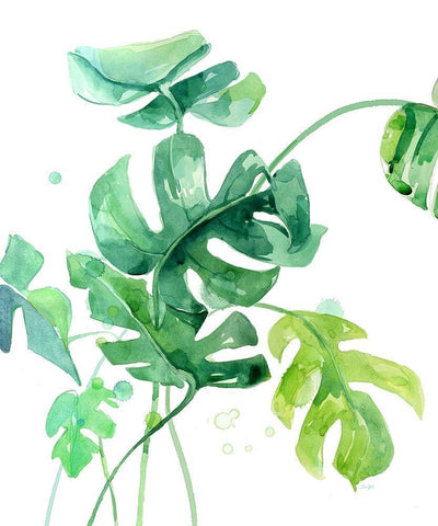 Fresh Tropical 1 Black Ornate Wood Framed Art Print with Double Matting by Jing, Jin