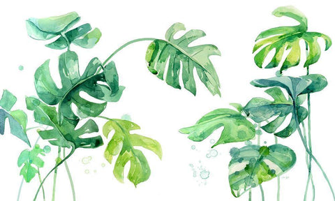 Lush and Tropical White Modern Wood Framed Art Print with Double Matting by Jing, Jin