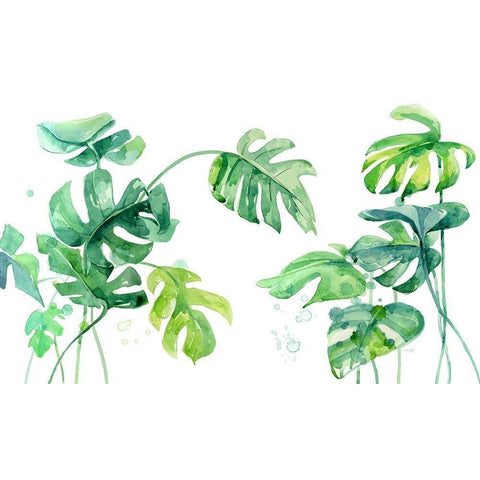 Lush and Tropical Black Modern Wood Framed Art Print with Double Matting by Jing, Jin