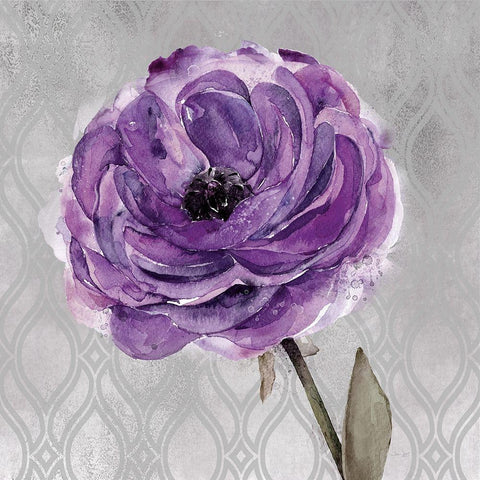 Floral Inspired Plum1 White Modern Wood Framed Art Print with Double Matting by Jing, Jin