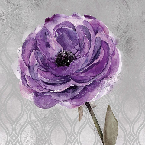 Floral Inspired Plum1 White Modern Wood Framed Art Print by Jing, Jin