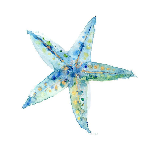 Sea Glass Mollusk Black Modern Wood Framed Art Print by Jin, Jing