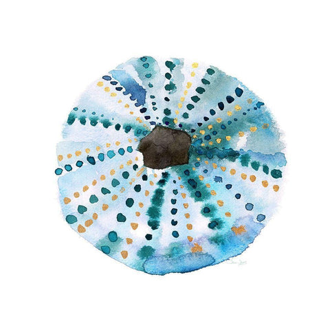 Sea Glass Seashell White Modern Wood Framed Art Print with Double Matting by Jin, Jing