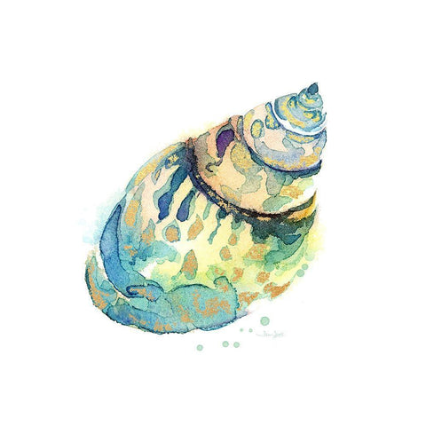 Sea Glass Shell White Modern Wood Framed Art Print with Double Matting by Jin, Jing