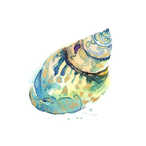 Sea Glass Shell Black Modern Wood Framed Art Print by Jin, Jing