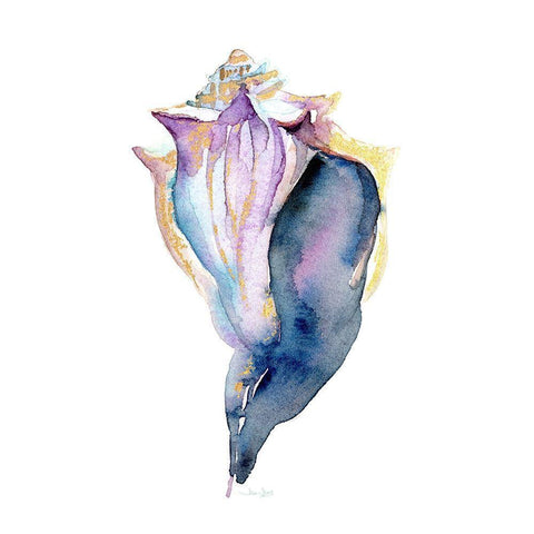 Sea Glass Urchin Black Ornate Wood Framed Art Print with Double Matting by Jin, Jing