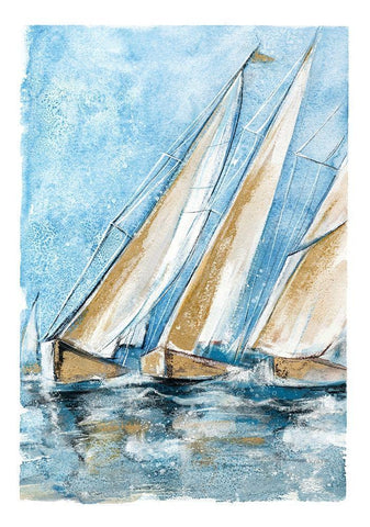 Windward Black Ornate Wood Framed Art Print with Double Matting by Jing, Jin