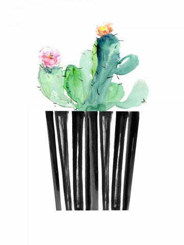 Nice Cactus White Modern Wood Framed Art Print with Double Matting by London, Dakota