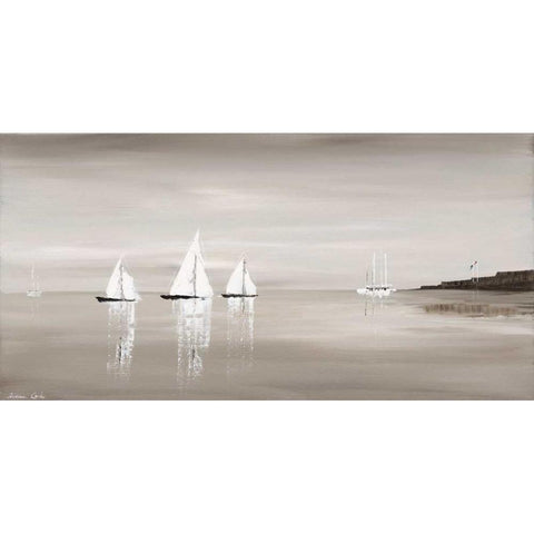 Sailing Grey III Black Modern Wood Framed Art Print with Double Matting by Cook, Andrea