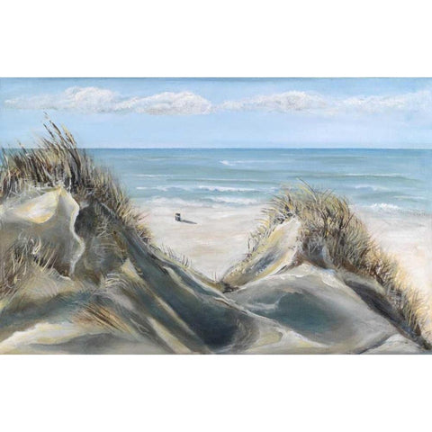 Dunes IV Black Modern Wood Framed Art Print with Double Matting by Eenhoorn, Alice