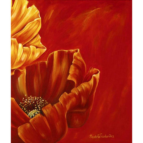 Poppies in bloom II Black Modern Wood Framed Art Print with Double Matting by Frederiks, Beatrix