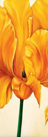 Tulips in Tryptichon I White Modern Wood Framed Art Print with Double Matting by Frederiks, Beatrix