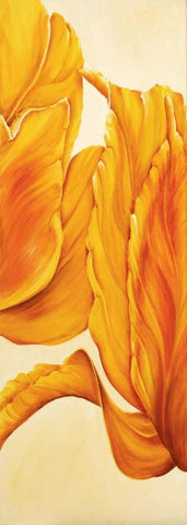 Tulips in Tryptichon II White Modern Wood Framed Art Print with Double Matting by Frederiks, Beatrix