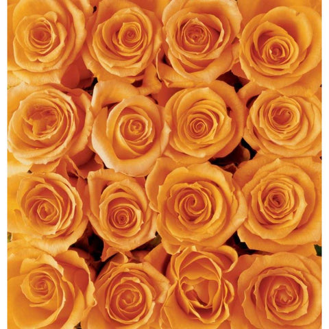 Orange rose creation Black Modern Wood Framed Art Print by met Bloemen, Creatief