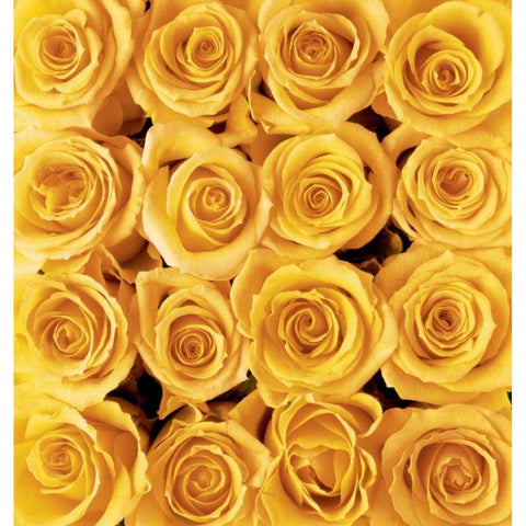 Yellow rose creation Gold Ornate Wood Framed Art Print with Double Matting by met Bloemen, Creatief