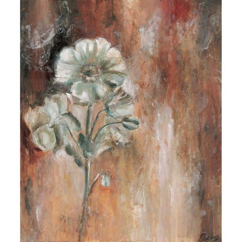 Papaveraceae I Black Modern Wood Framed Art Print with Double Matting by van den Bogerd, Escha