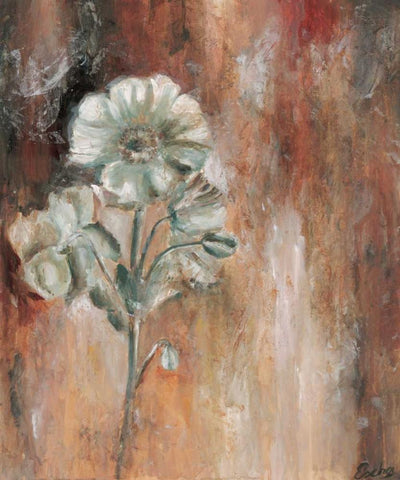 Papaveraceae I Black Ornate Wood Framed Art Print with Double Matting by van den Bogerd, Escha