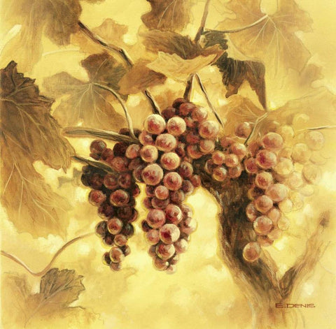 GrapesI White Modern Wood Framed Art Print with Double Matting by Denis, E