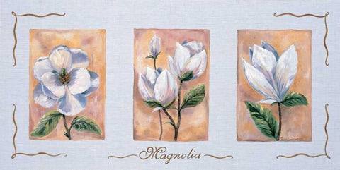 Magnolia Triptychon White Modern Wood Framed Art Print with Double Matting by Withaar, Rian