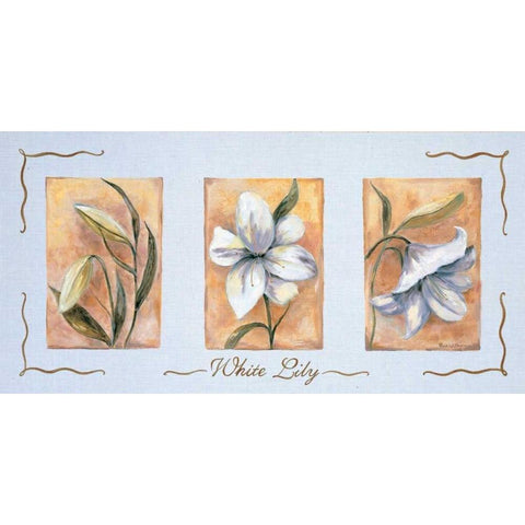 White lily Triptychon White Modern Wood Framed Art Print by Withaar, Rian