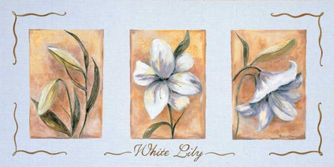 White lily Triptychon White Modern Wood Framed Art Print with Double Matting by Withaar, Rian