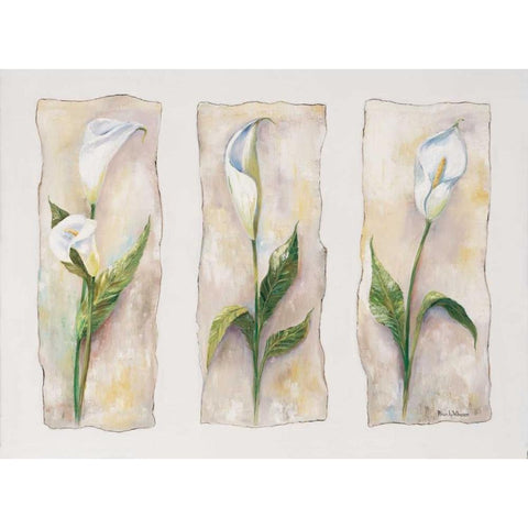 Aspects of arums White Modern Wood Framed Art Print by Withaar, Rian