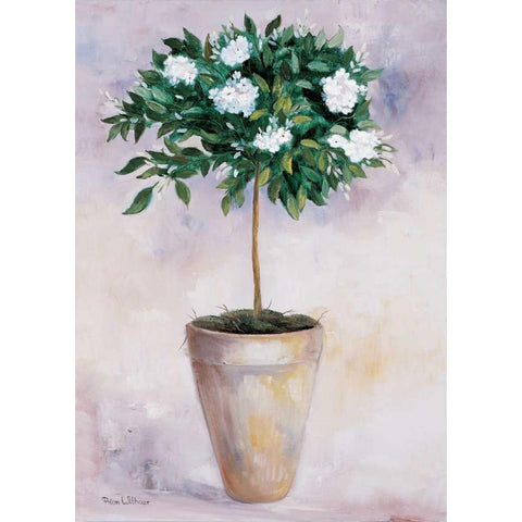 Jasminum White Modern Wood Framed Art Print by Withaar, Rian