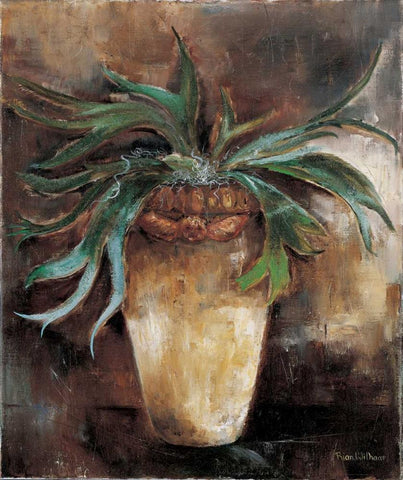 Horn Fern White Modern Wood Framed Art Print with Double Matting by Withaar, Rian