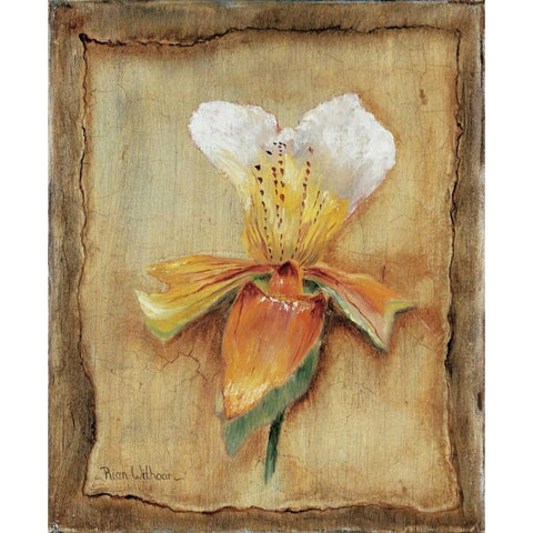Spring impression I Black Modern Wood Framed Art Print with Double Matting by Withaar, Rian